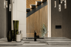 Website Portfolio images - Main Powder Room in a Timberland Custom Home